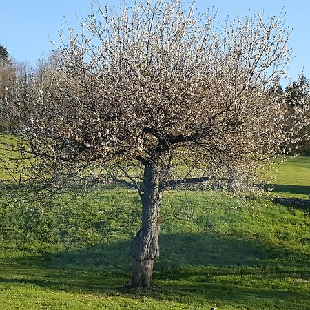 Gite Bard Des Ours Saint-Martin-en-Vercors Bagian luar foto